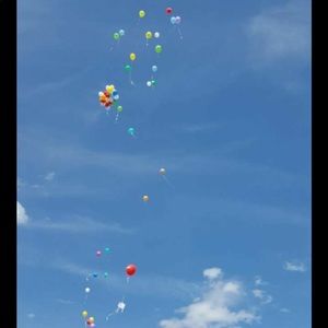 Meet your Posher, Heidi